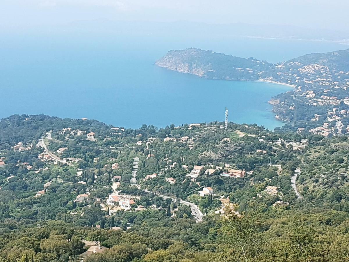 Le Rayol-Canadel-sur-Mer Villa Adriandre מראה חיצוני תמונה